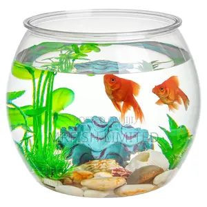 Bowl Aquarium