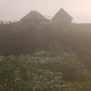 Land for Sale With Running Borehole on It Behind Arigbajo Market Ifo.