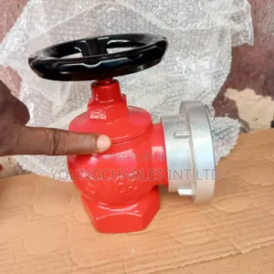 2.5"/65mm Indoor Hydrant Valve