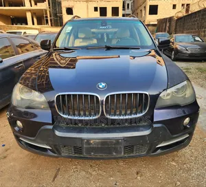 BMW X5 3.0si Activity 2008 Blue