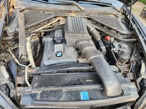 BMW X5 3.0si Activity 2008 Blue