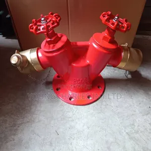 4" Outdoor Hydrant Valve
