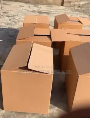 Large Carton Boxes