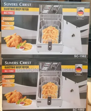 10 Litter Deep Fryer