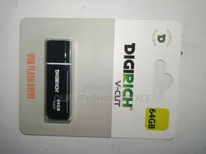Digirich 64gig Flash Drive