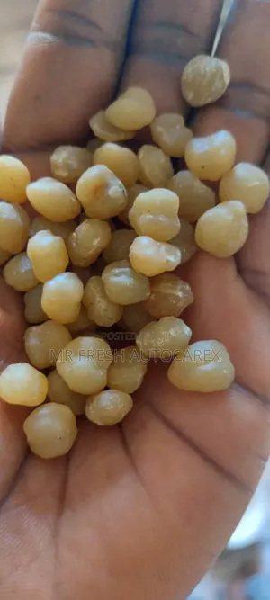 Organic Akpi Seeds 1kg (Wholesale)