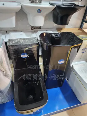 Black With Gold Stripe Executive Wc With Free Stand Basin