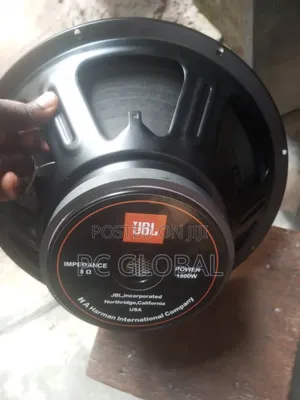 JBL Naked Speaker by 12inches