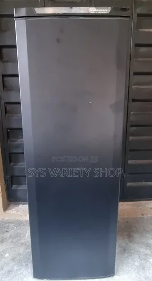 Everglades Upright Freezer 290l No Frost