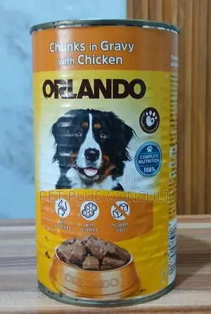 Orlando Can Food