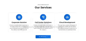 Wordpress Website Development Services