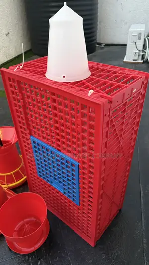 Exclusive High Quality India Transport Crate