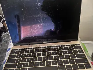 Laptop Apple MacBook 2017 8GB Intel Core i5 HDD 500GB