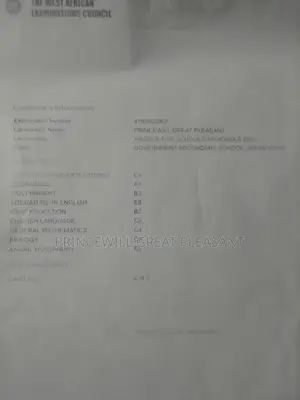 Housekeeping Cleaning CV