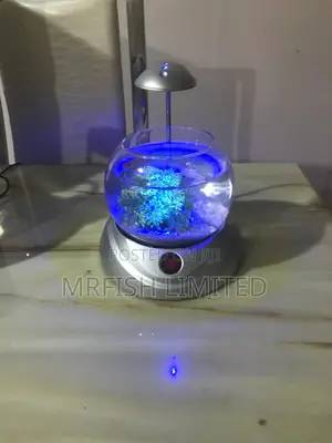 2l Fish Bowl
