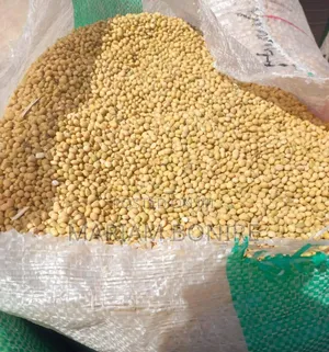 Soyabean Grain