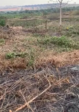 Nice Acre of Land