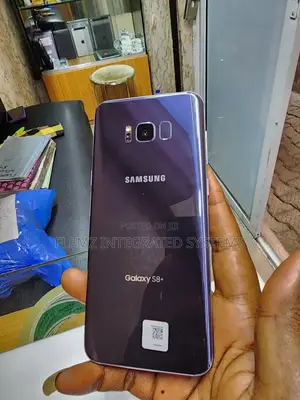 Samsung Galaxy S8 Plus 64 GB Purple