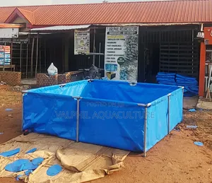Artificial Fish Pond