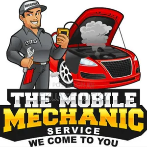 Mobile Mechanic. Winks Auto Service