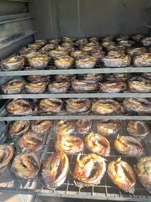 Oven Smoked Dry Fish Fish for Sale (At Farm Price)