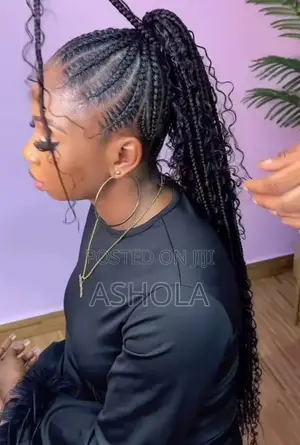 Boho Braid Ponytail Wig