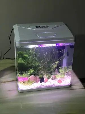 17 Litres Aquarium + Fishes (Fully Set Up)