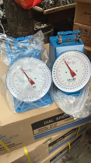 Camry 20kg Mechanical Dial Weighing Scale – Heavy Duty