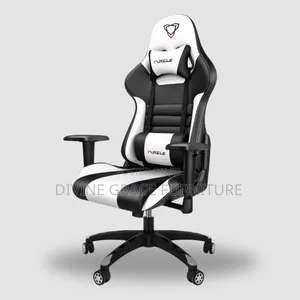 Double Color Gaming Chair