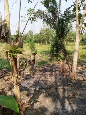 Acres of Land for Sale in Ibadan