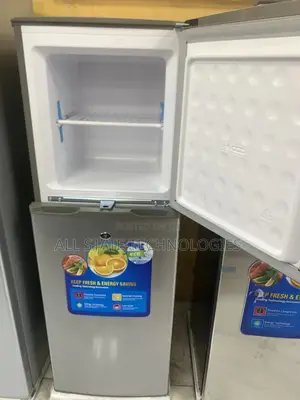 Polystar Pv-Dd250l Quality Double Door Fridge