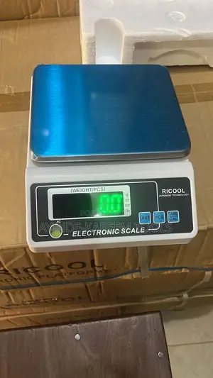 Electronic Scale