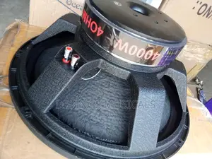 Powerful Oceanic 4000watts Naked Subwoofer Cone 18”