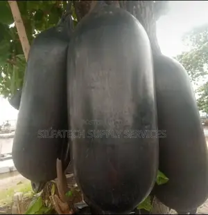 Original Boat Fender