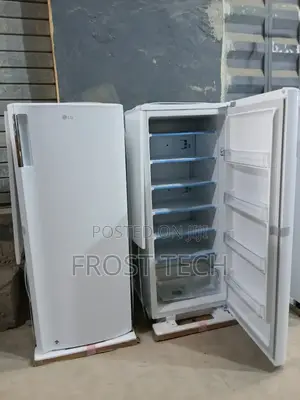Original Lg Inverter Upright Freezer Gn-304 Ice Block Freezer