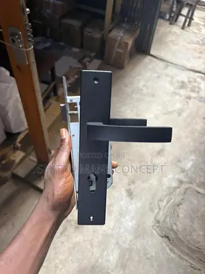 Black Color Door Locks