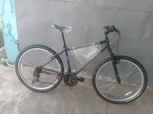 29 Inch Adult Sport Bicycle