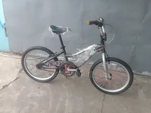 Children Bicycle 20 Inch