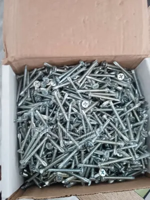 Screw For Your Ceiling Installation