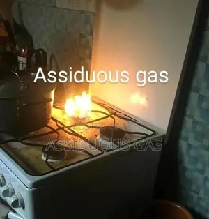 Repairs and Servicing Gas Cooker
