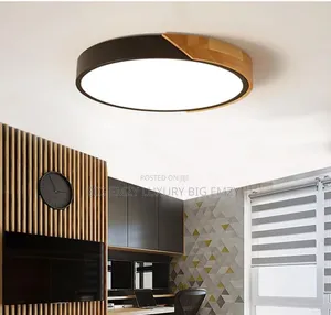Ceiling Mount Light.