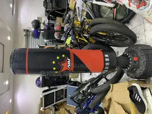 Standing Punching Bag