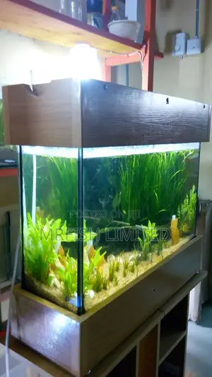 Big Slim HDF Aquarium.