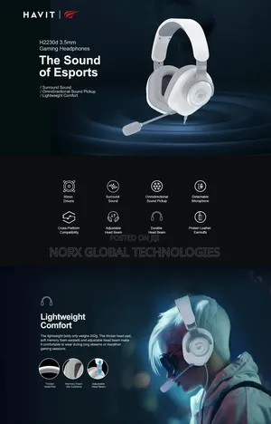 Havit H2230d Gaming Headphones