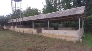 Farmland for Sale