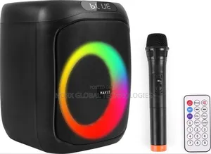 Havit Sq146bt 60w Outdoor Wireless Party Speaker With Microphone