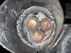 300mm 3core 11kvs Xlpe Armored Cable