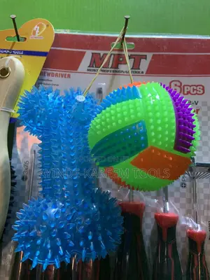 Pet Chew Toys and Massage Ball(Combo)