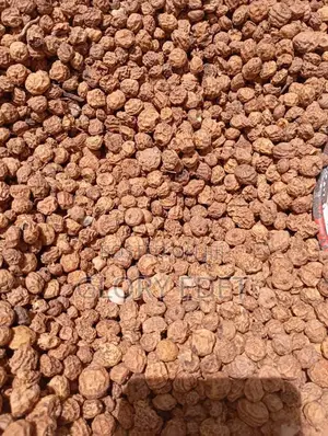 Tiger Nuts