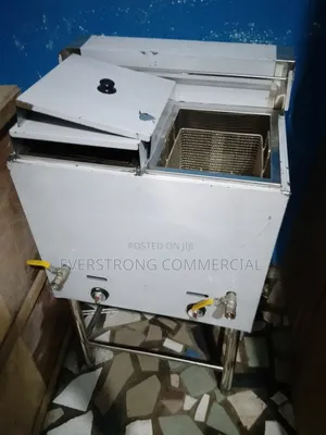 Gas Standing 40liter Deep Fryer